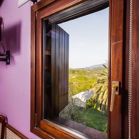 Landarbide Zahar By Egona Aia