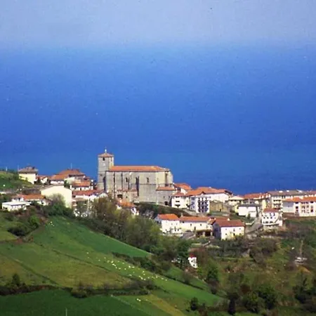 Landarbide Zahar By Egona *