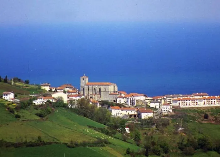 Landarbide Zahar By Egona *