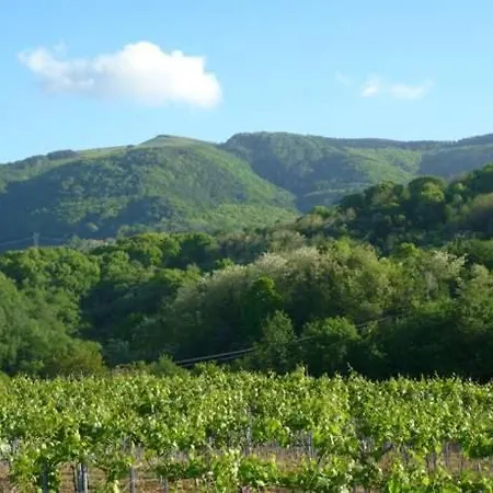 Landarbide Zahar By Egona Aia