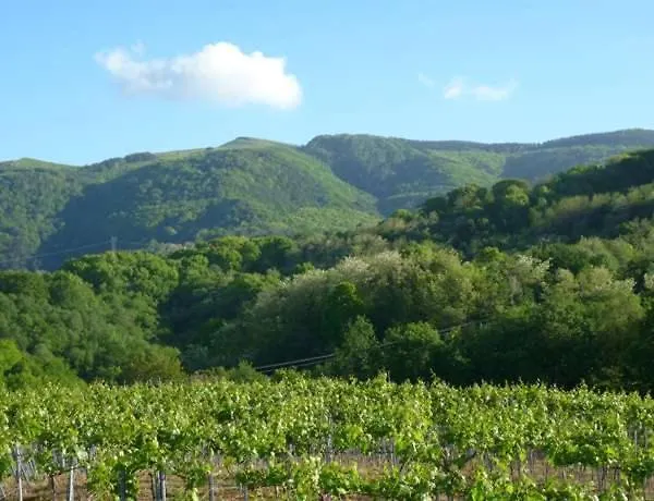 Landarbide Zahar By Egona Aia